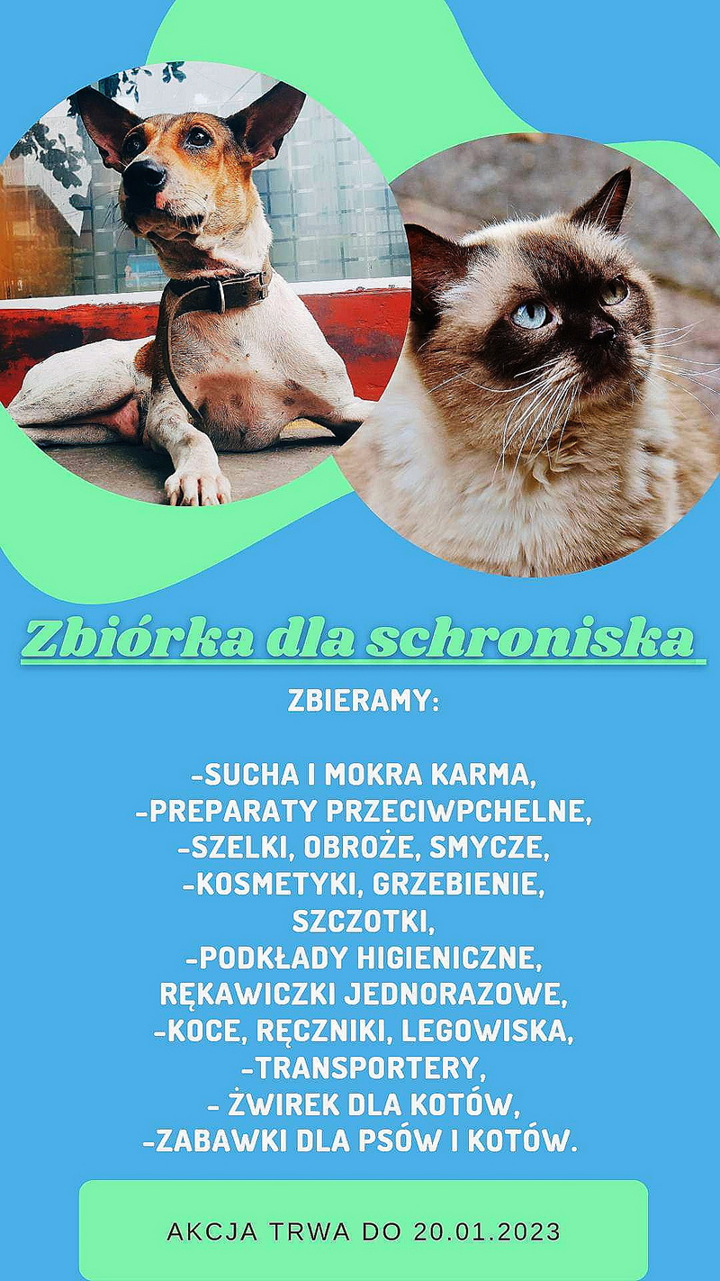 Akcja charytatywna "Zbiórka dla schroniska"