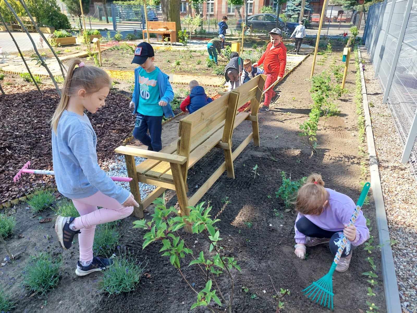 Aktywności w ogrodzie