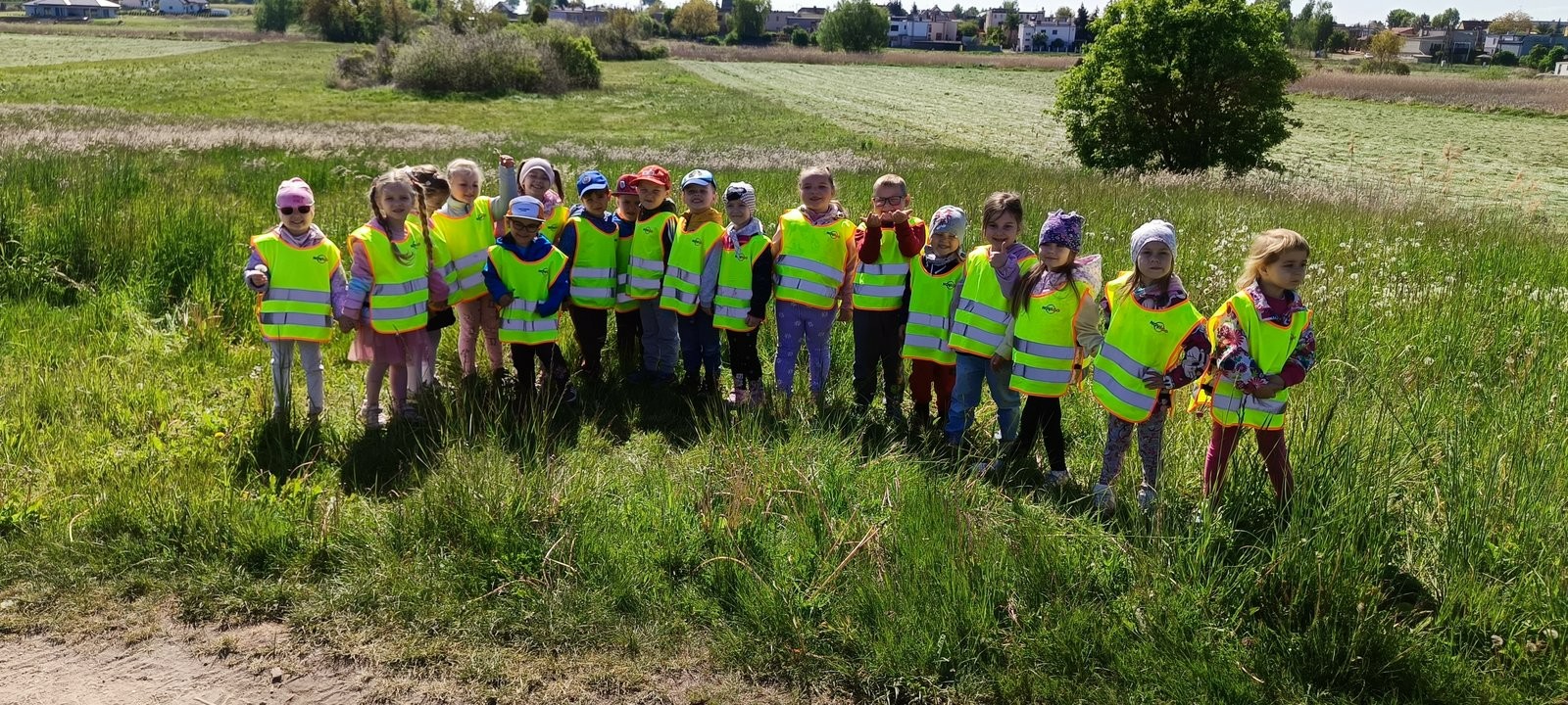 Biedronki i Kotki na łące