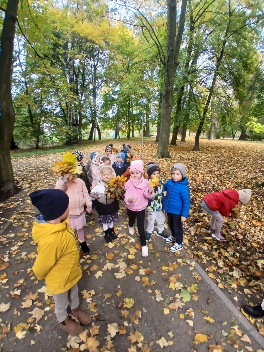 Aktywności Biedronek